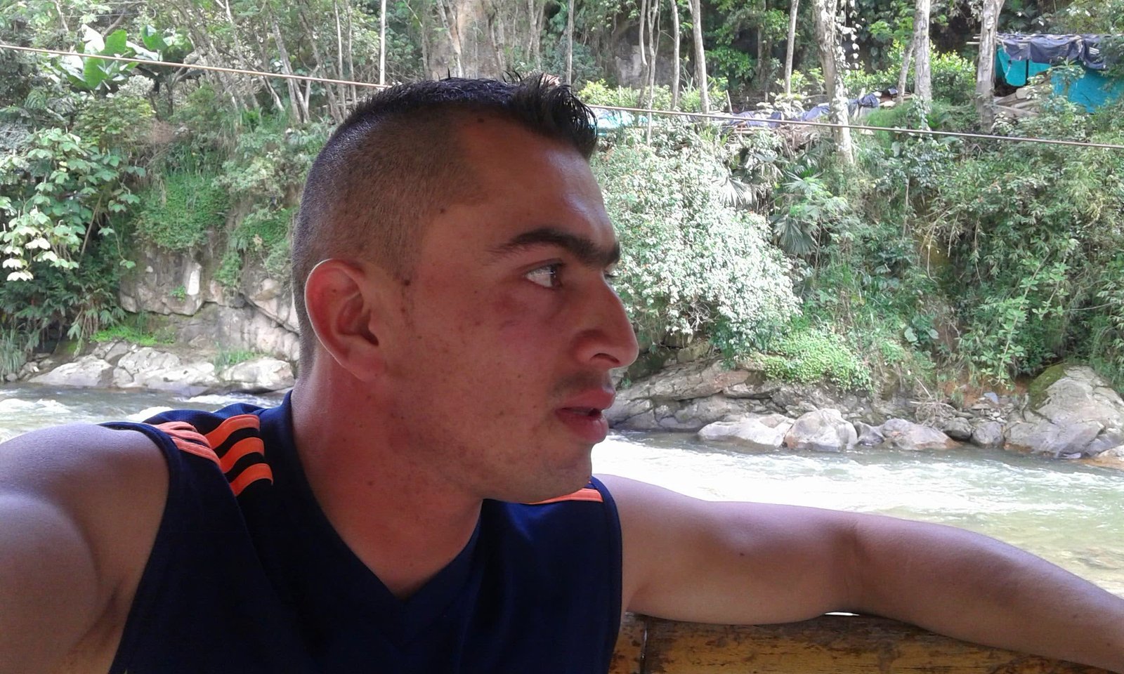 Professional Profile